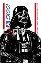 Load image into Gallery viewer, Darth Vader - Glow In The Dark Print Artwork