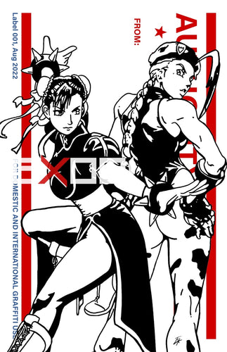 Chun-Li And Cammy - Print Artwork